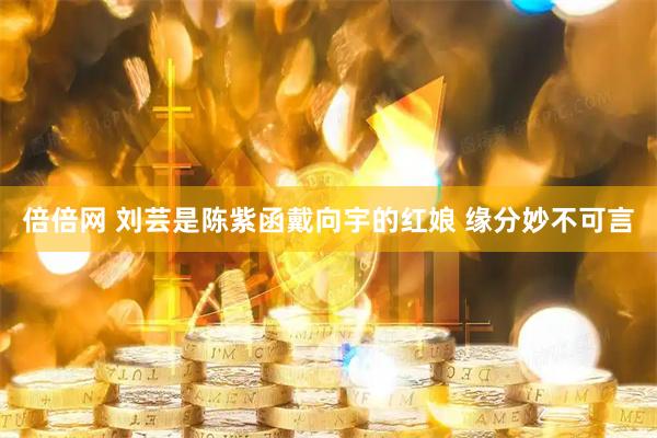 倍倍网 刘芸是陈紫函戴向宇的红娘 缘分妙不可言
