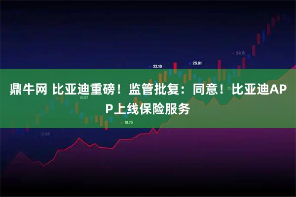 鼎牛网 比亚迪重磅！监管批复：同意！比亚迪APP上线保险服务
