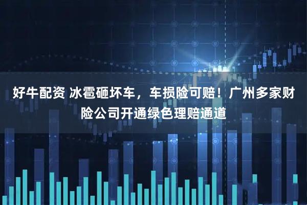 好牛配资 冰雹砸坏车，车损险可赔！广州多家财险公司开通绿色理赔通道