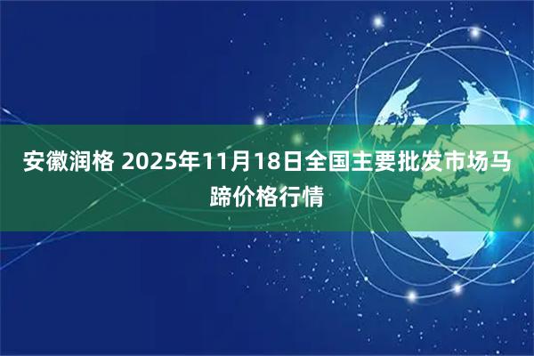 安徽润格 2025年11月18日全国主要批发市场马蹄价格行情