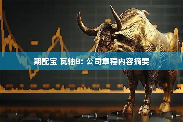 期配宝 瓦轴B: 公司章程内容摘要