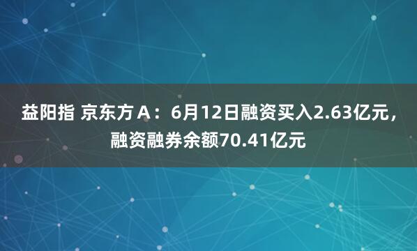 益阳指 京东方Ａ：6月12日融资买入2.63亿元，融资融券余额70.41亿元